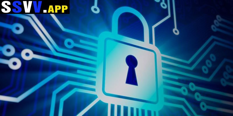 O que é a Política de Privacidade da SSVV